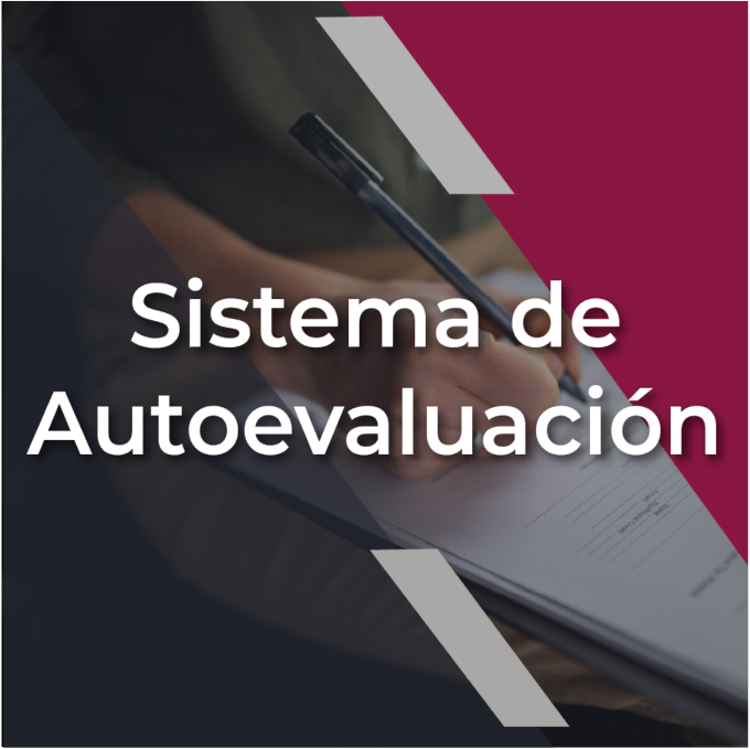 icono Sistema Autoevaluacion