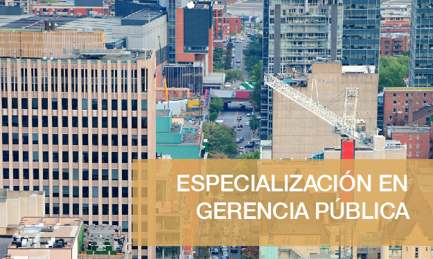 Esp Gerencia Pública