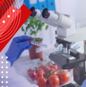 Estudiantes de Ingenier&iacute;a de Alimentos que brillan con innovadoras investigaciones